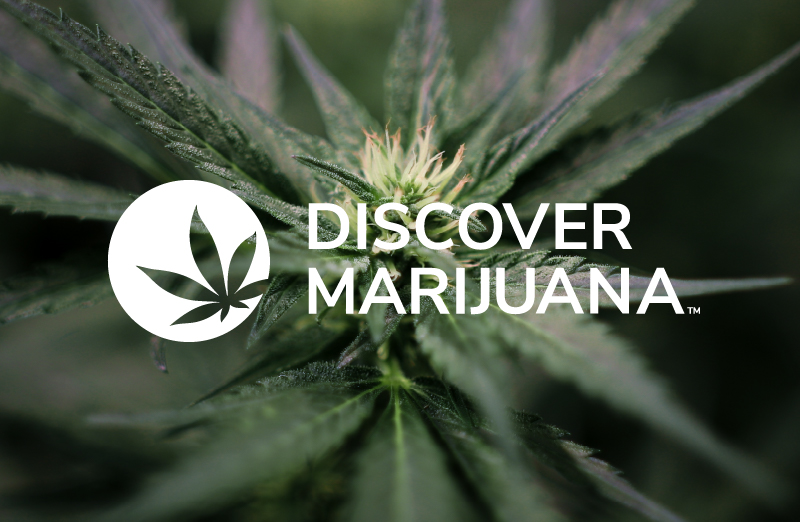 Discover Marijuana